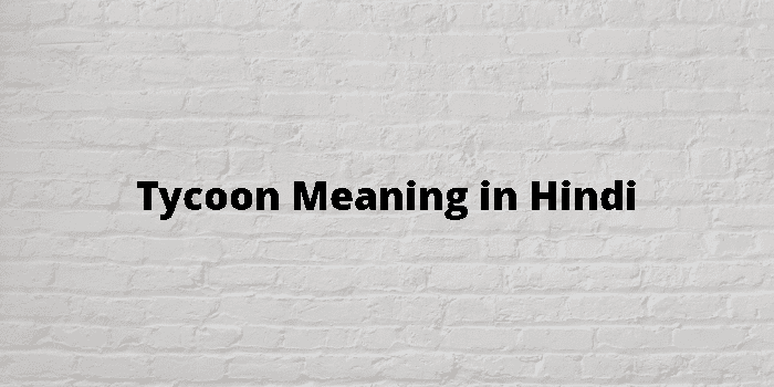 Tycoon meaning in Hindi, Tycoon ka matlab kya hota hai