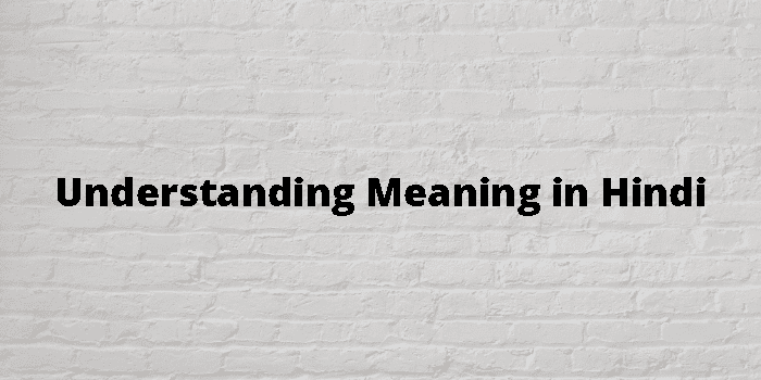 understanding-meaning-in-hindi