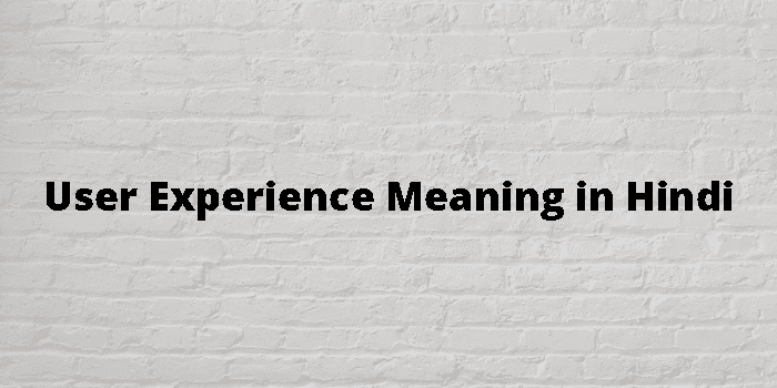 user-experience-meaning-in-hindi