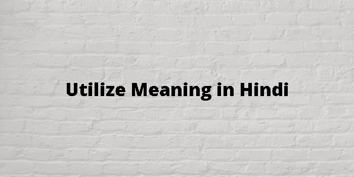 utilize-meaning-in-hindi