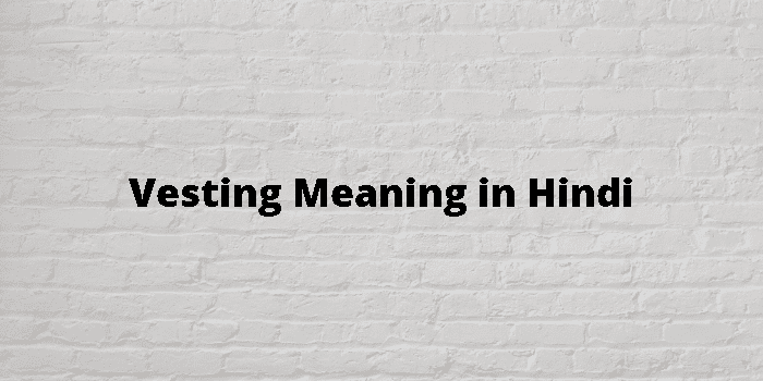 Vesting Meaning In Hindi - हिंदी अर्थ