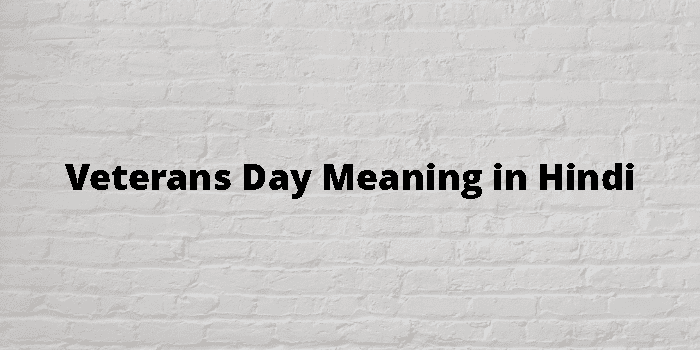 veterans-day-meaning-in-hindi