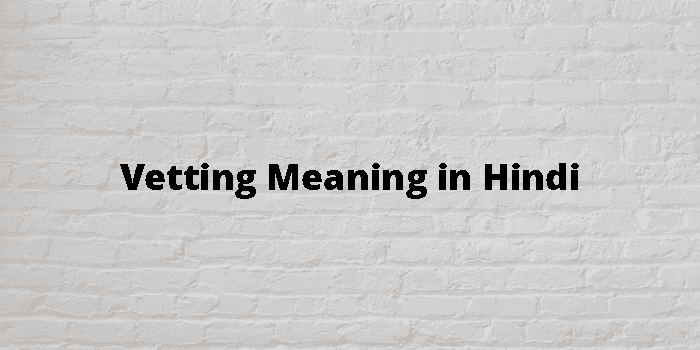 Vetting Meaning In Hindi - हिंदी अर्थ