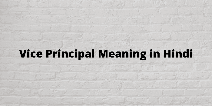 vice-principal-meaning-in-hindi