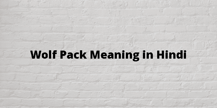 wolf-pack-meaning-in-hindi