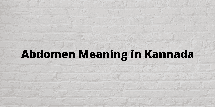 Abdomen Meaning In Kannada