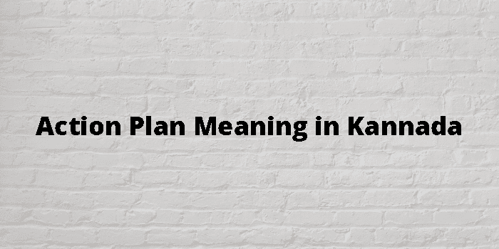 action-plan-meaning-in-kannada