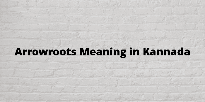 Arrowroots Meaning In Kannada - ಕನ್ನಡ ಅರ್ಥ