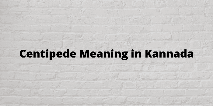 centipede-meaning-in-kannada