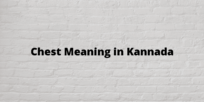 chest-meaning-in-kannada