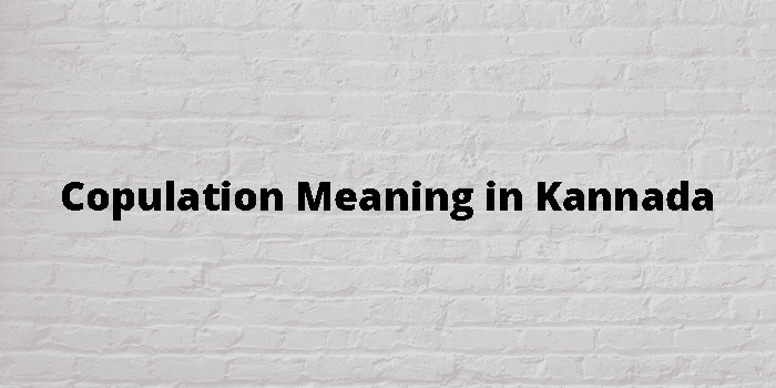 Copulation Meaning In Kannada - ಕನ್ನಡ ಅರ್ಥ