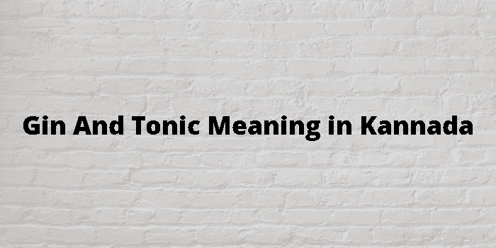 gin-and-tonic-meaning-in-kannada