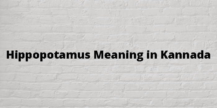 Hippopotamus Meaning In Kannada - ಕನ್ನಡ ಅರ್ಥ