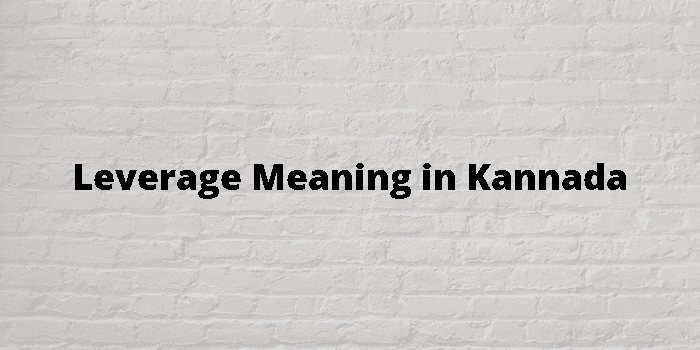 leverage-meaning-in-kannada