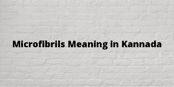 Microfibrils Meaning In Kannada - ಕನ್ನಡ ಅರ್ಥ