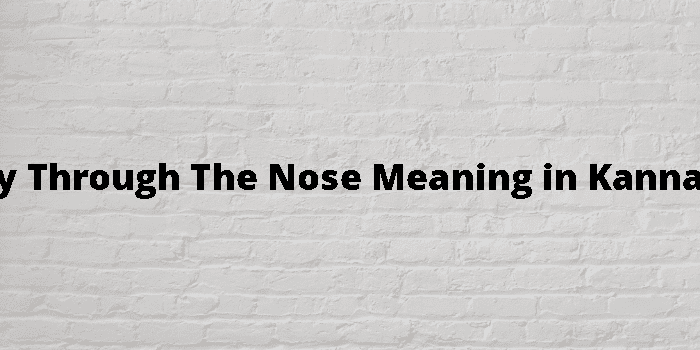 Pay Through The Nose Meaning In Kannada 