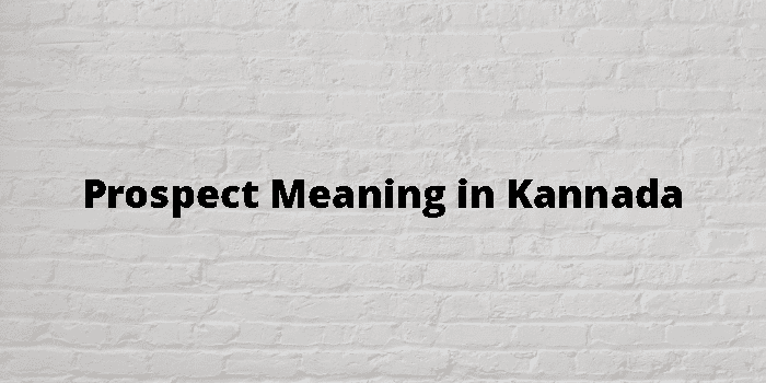 prospect-meaning-in-kannada