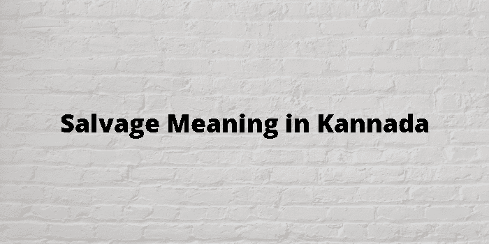 salvage-meaning-in-kannada