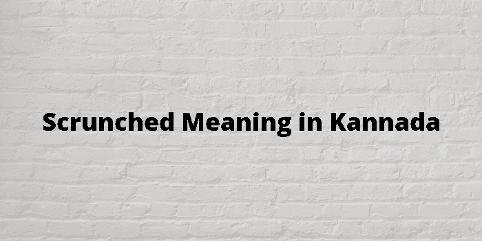 scrunched-meaning-in-kannada