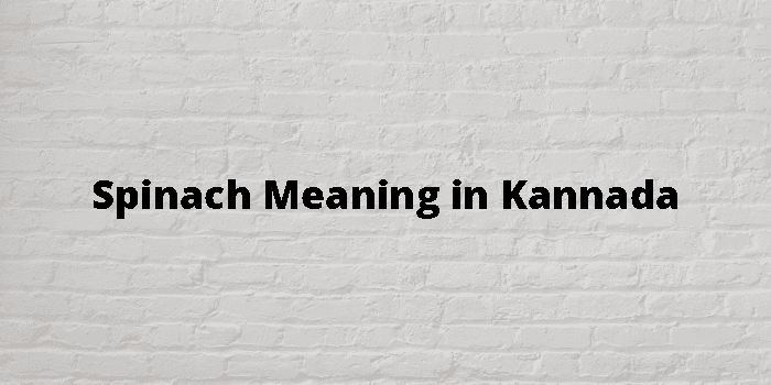 Spinach Meaning In Kannada - ಕನ್ನಡ ಅರ್ಥ