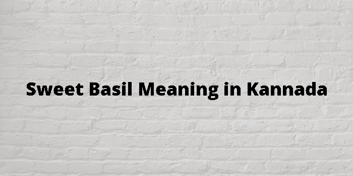 Sweet Basil Meaning In Kannada