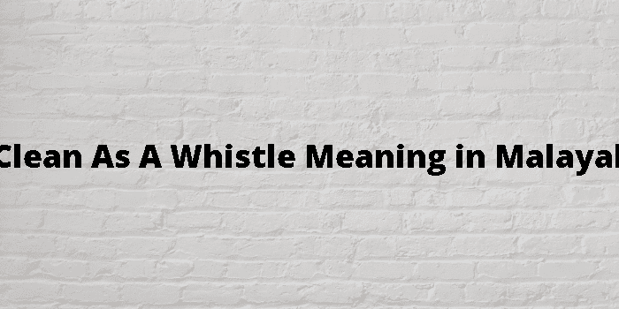 as-clean-as-a-whistle-meaning-in-malayalam