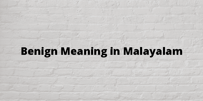 Benign Meaning In Malayalam - മലയാളം അർത്ഥം