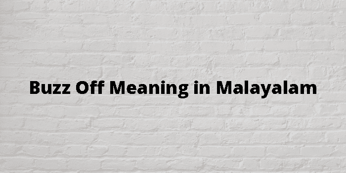 buzz-off-meaning-in-malayalam