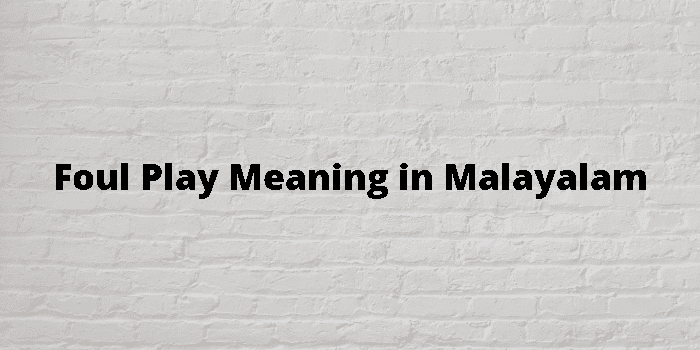 foul-play-meaning-in-malayalam