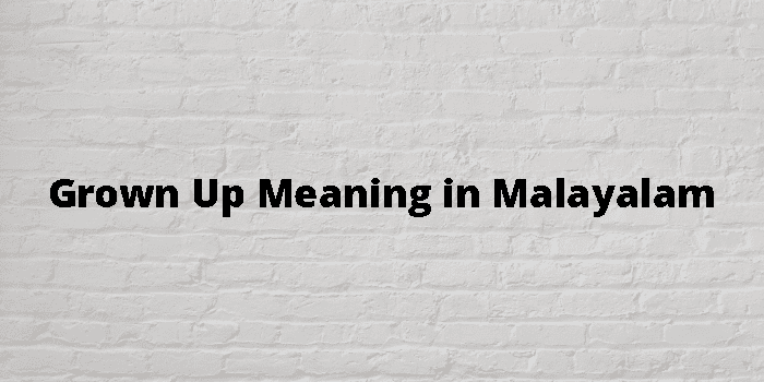 grown-up-meaning-in-malayalam
