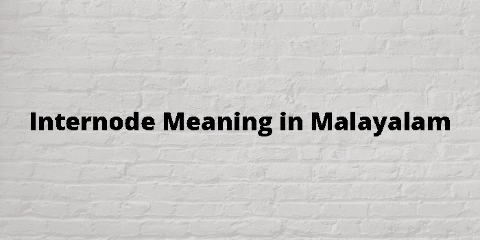 Internode Meaning In Malayalam - മലയാളം അർത്ഥം