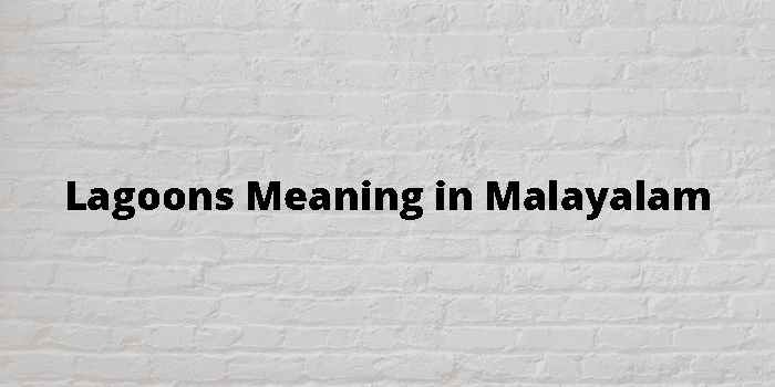 Lagoons Meaning In Malayalam - മലയാളം അർത്ഥം