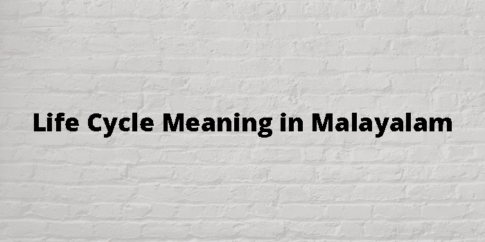 life-cycle-meaning-in-malayalam