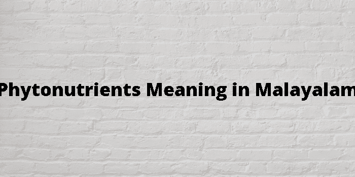 phytonutrients-meaning-in-malayalam