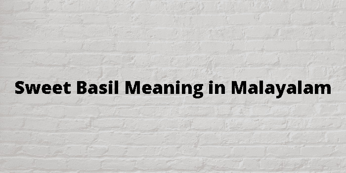 Sweet Basil Meaning In Malayalam