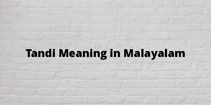 Tandi Meaning In Malayalam - മലയാളം അർത്ഥം