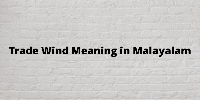 trade-wind-meaning-in-malayalam