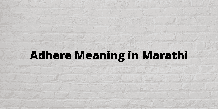 Adhere Meaning In Marathi - मराठी अर्थ