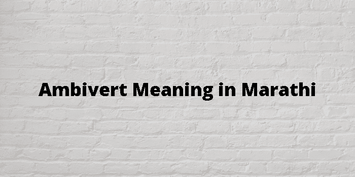 Ambivert Meaning In Marathi - मराठी अर्थ