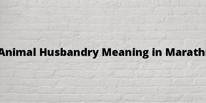 Animal Husbandry Meaning In Marathi - मराठी अर्थ