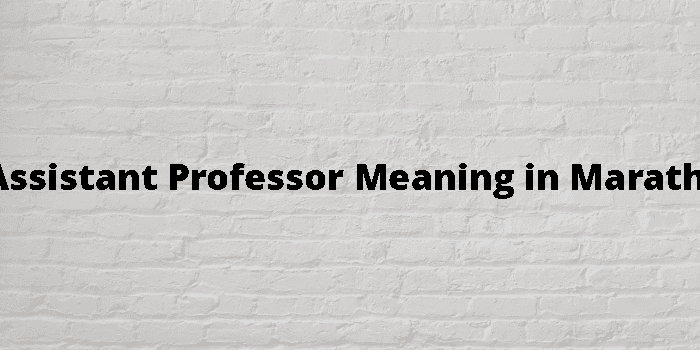 Assistant Professor Meaning In Marathi - मराठी अर्थ