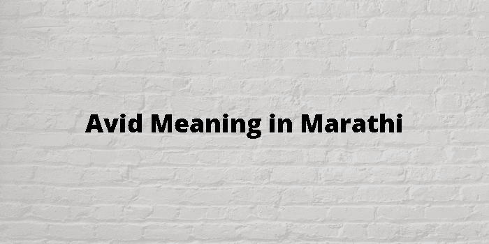 avid-meaning-in-marathi