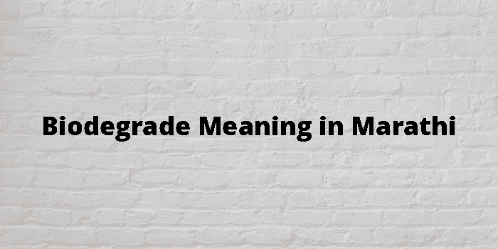 Biodegrade Meaning In Marathi - मराठी अर्थ