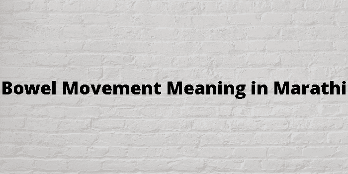 bowel-movement-meaning-in-marathi