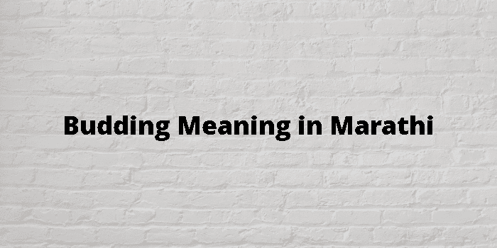 budding-meaning-in-marathi