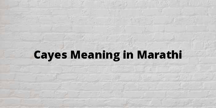 cayes-meaning-in-marathi