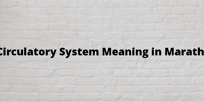 circulatory-system-meaning-in-marathi