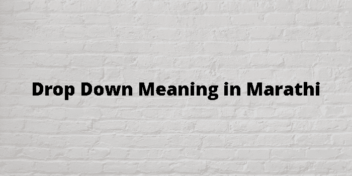 Drop Out Meaning In Marathi