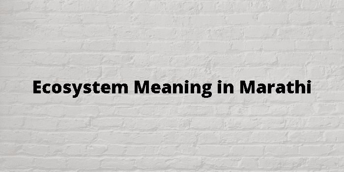 ecosystem-meaning-in-marathi