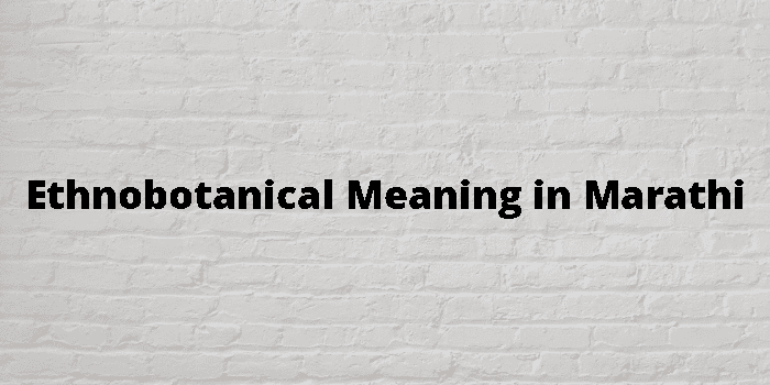 ethnobotanical-meaning-in-marathi